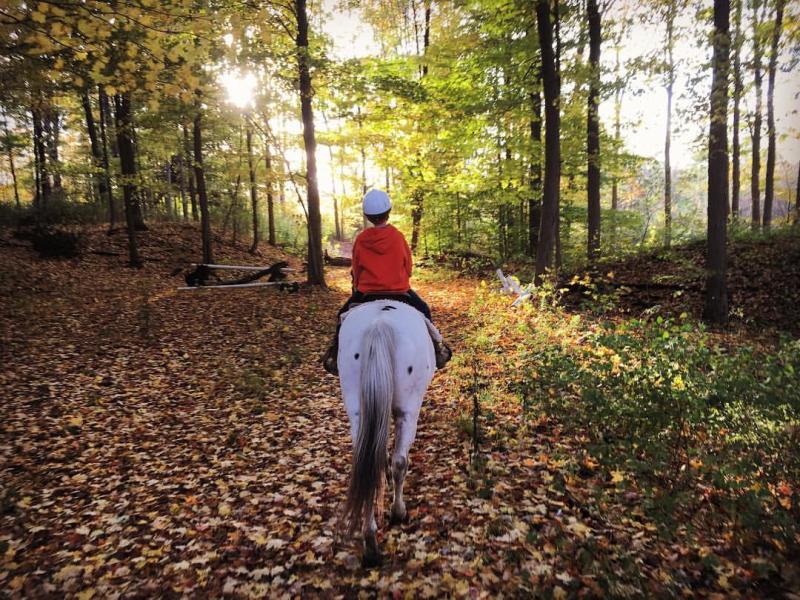 Horseback Riding Through Scenic Countryside Trails