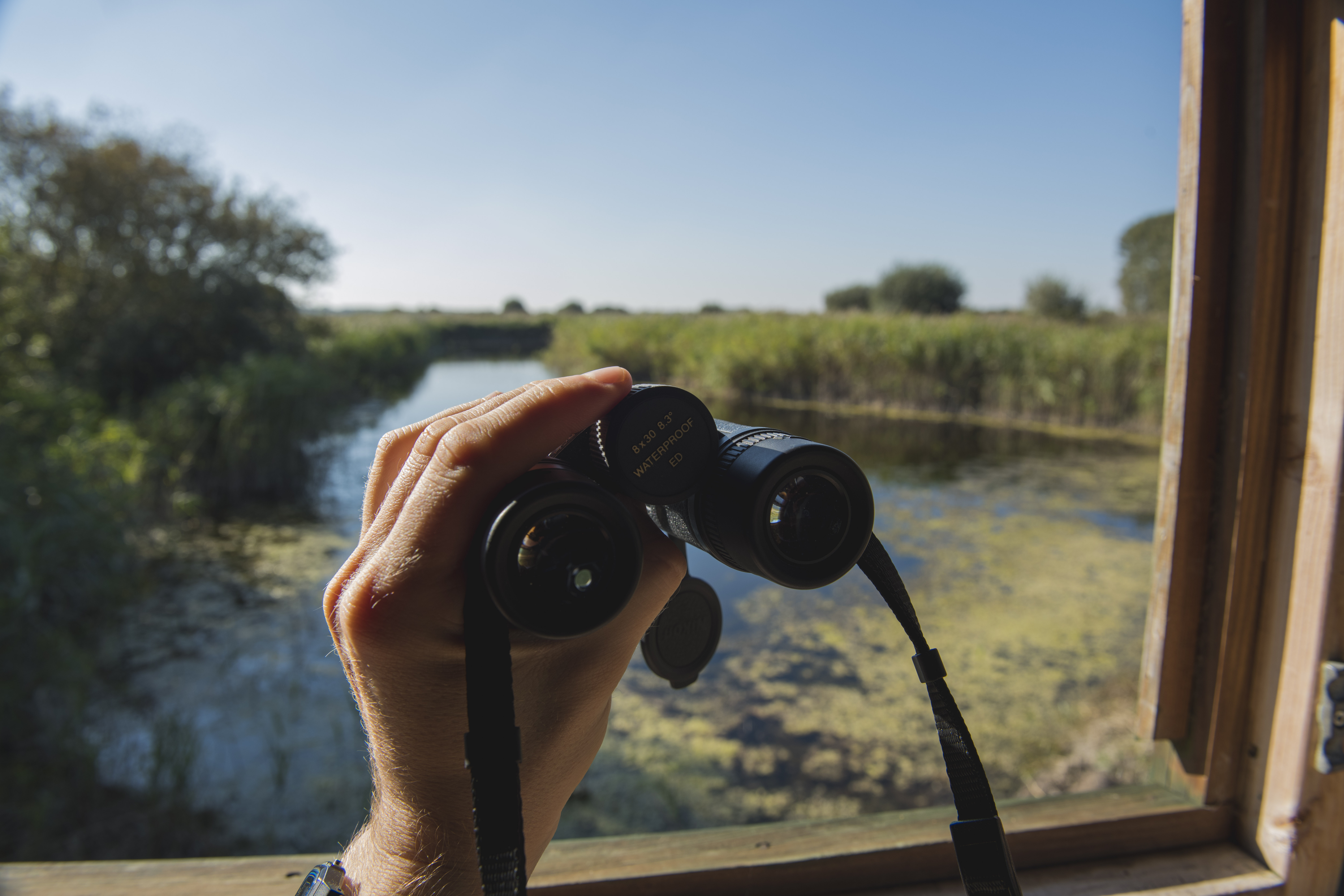Nature Photography with Binoculars and Wildlife Observation