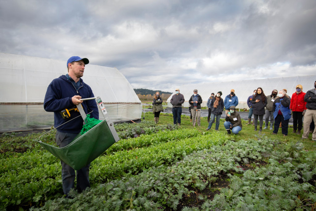 Hands-on Organic Garden Learning Experience with Fresh Vegetables