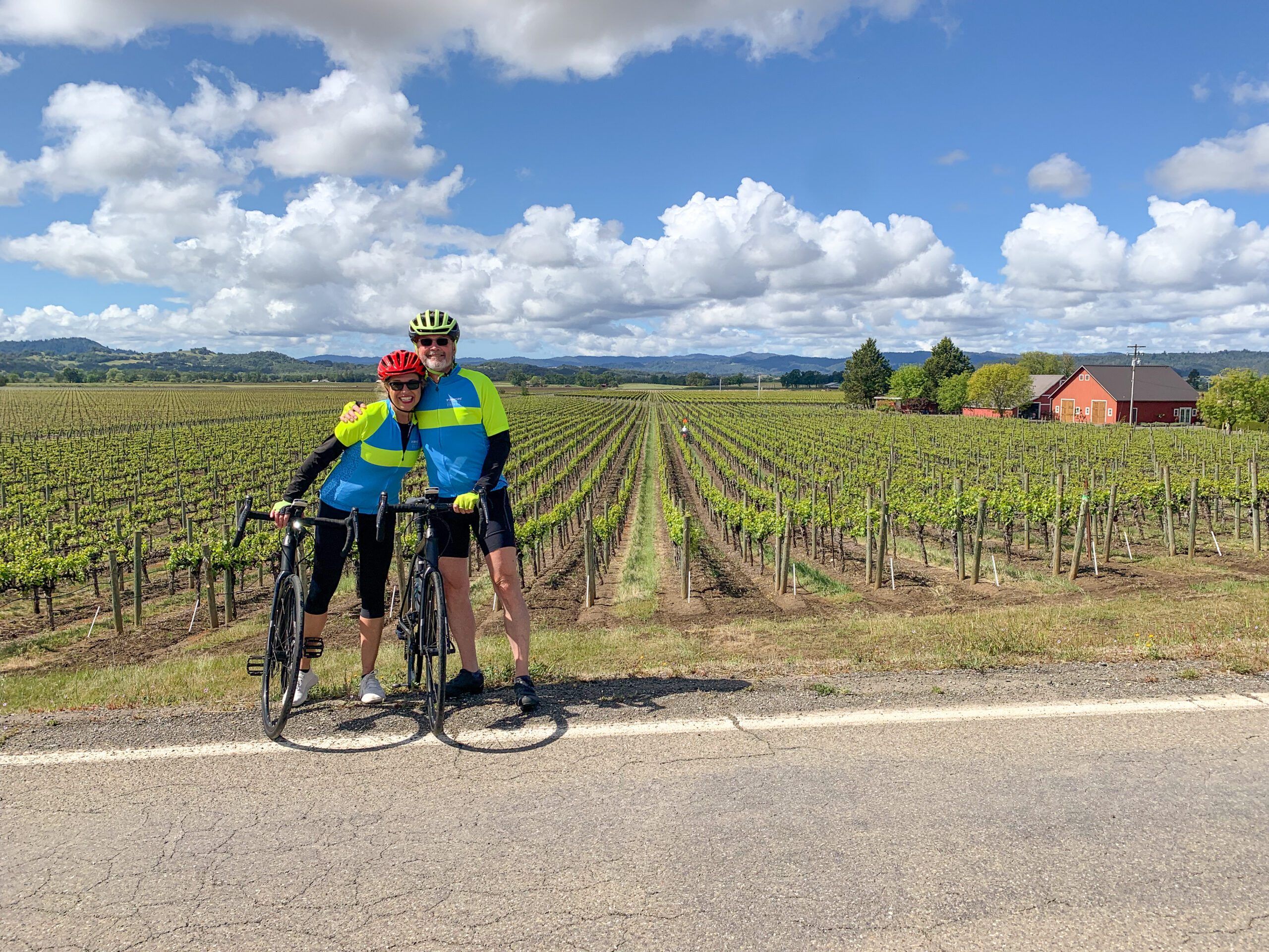 Cyclists Touring Through Scenic Vineyards with Wine Country Views